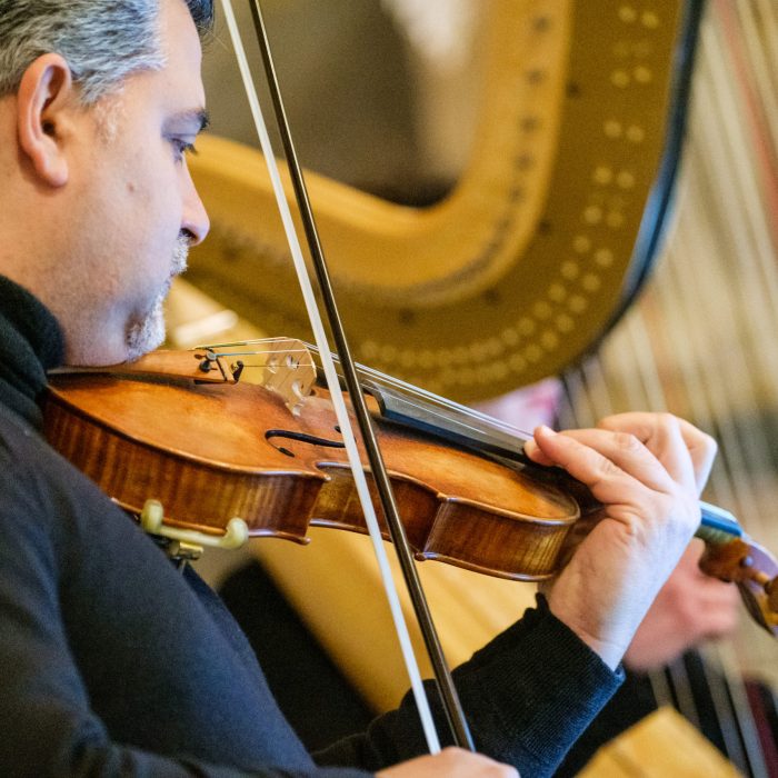 Violino e arpa per matrimonio Torino